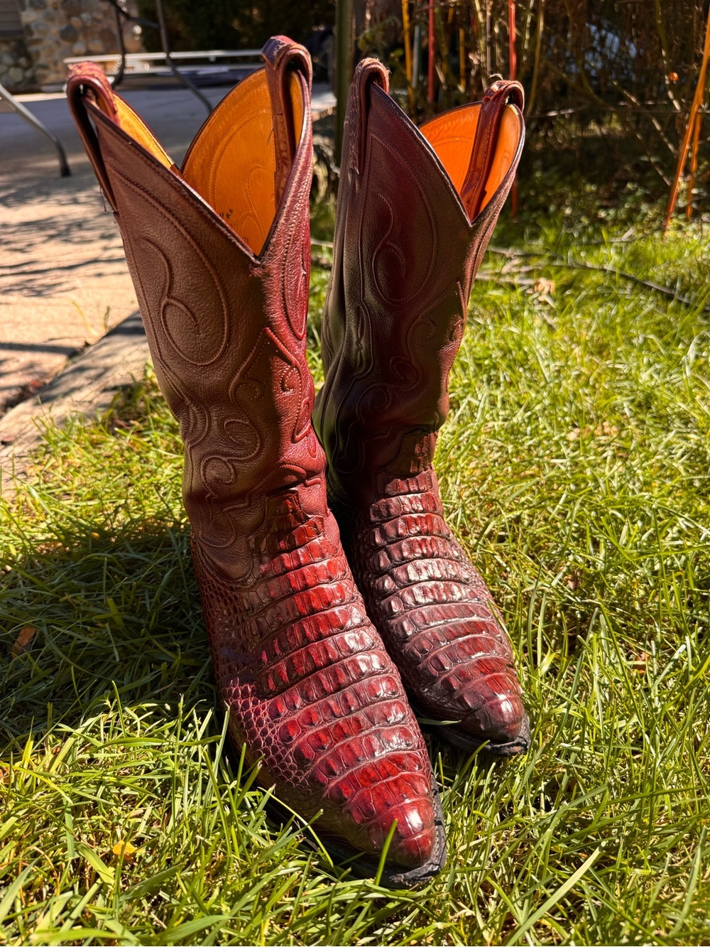 Tony Lama caiman crocodile cowboy boots. 10.5 D